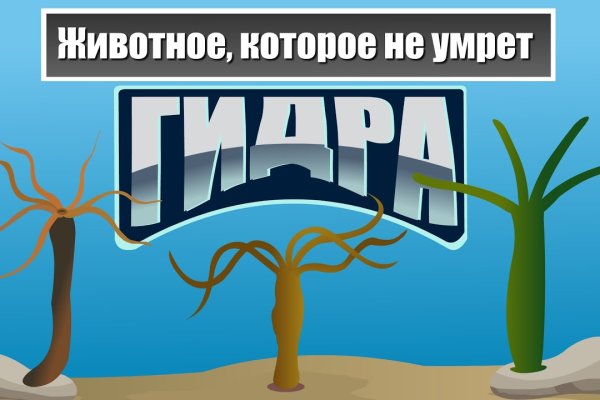 Кракен ссылка на тор официальная